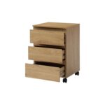 Ladičar Malan - Slika 2